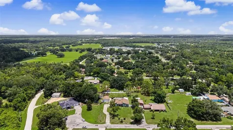 29311 Chandler Trace Wesley Chapel FL 33545