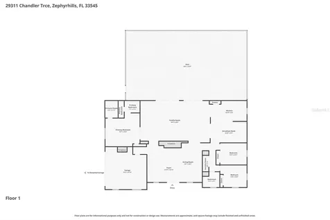 29311 Chandler Trace Wesley Chapel FL 33545