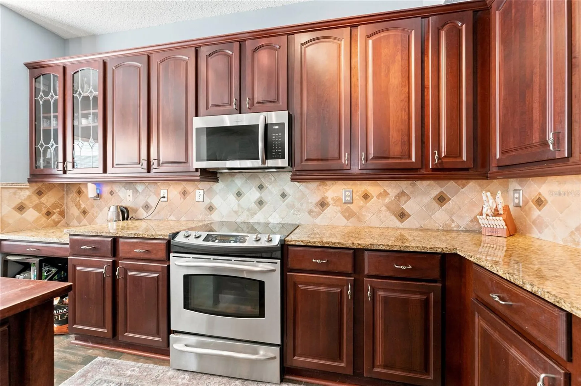 15629 Eastbourn Drive Odessa FL 33556