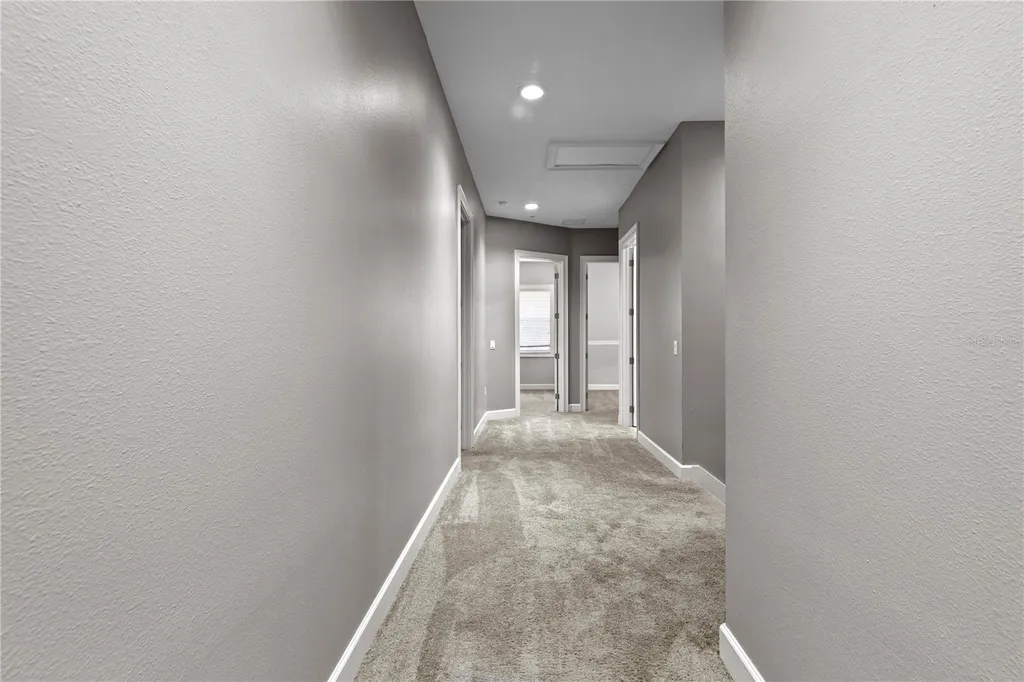 11504 Bellamar Street Tampa FL 33637