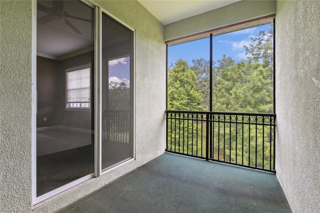 11504 Bellamar Street Tampa FL 33637