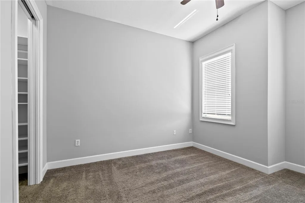 11504 Bellamar Street Tampa FL 33637