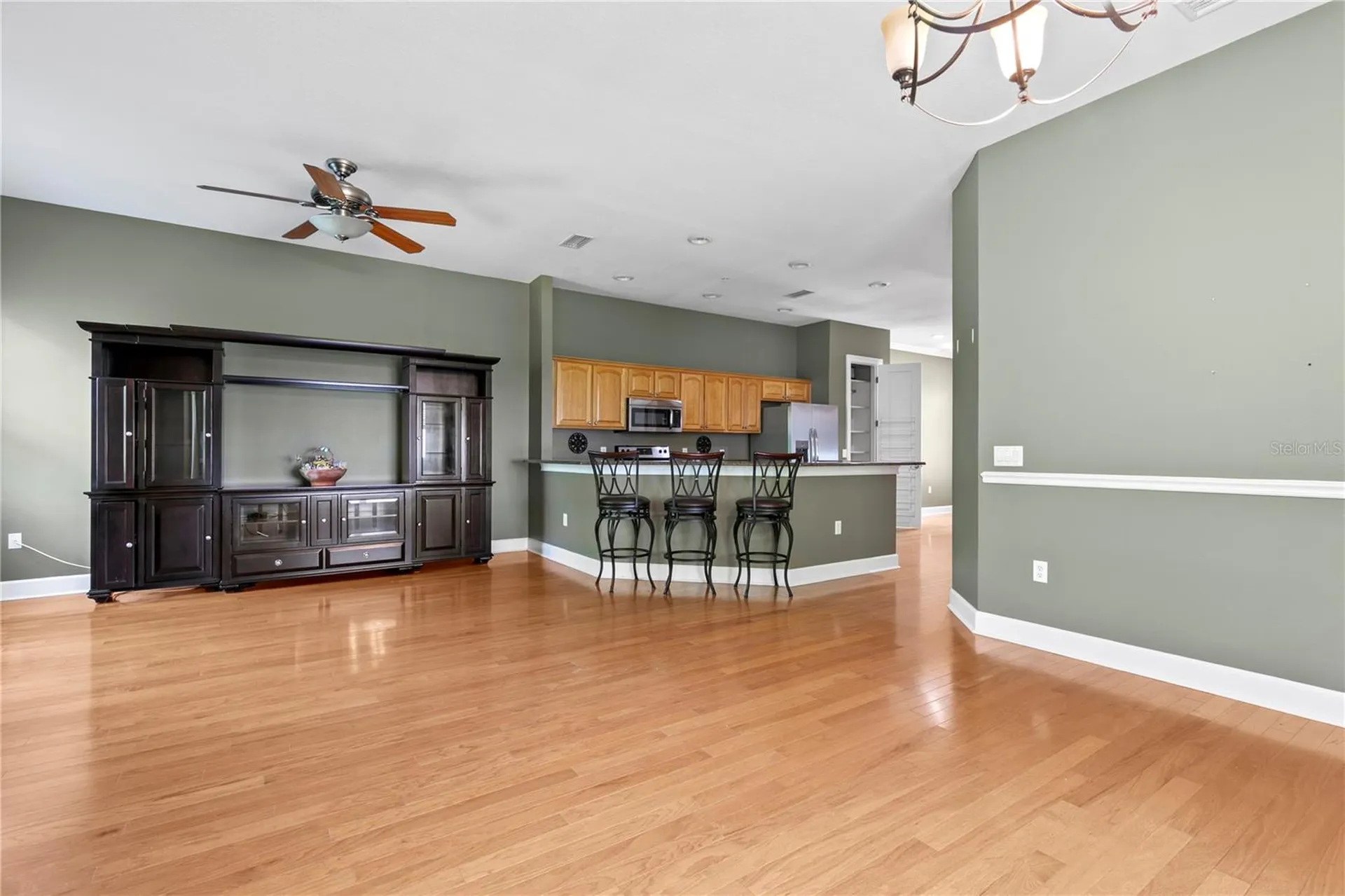 11504 Bellamar Street Tampa FL 33637