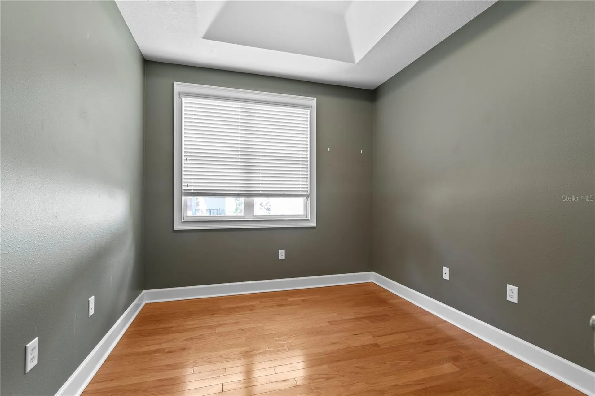 11504 Bellamar Street Tampa FL 33637