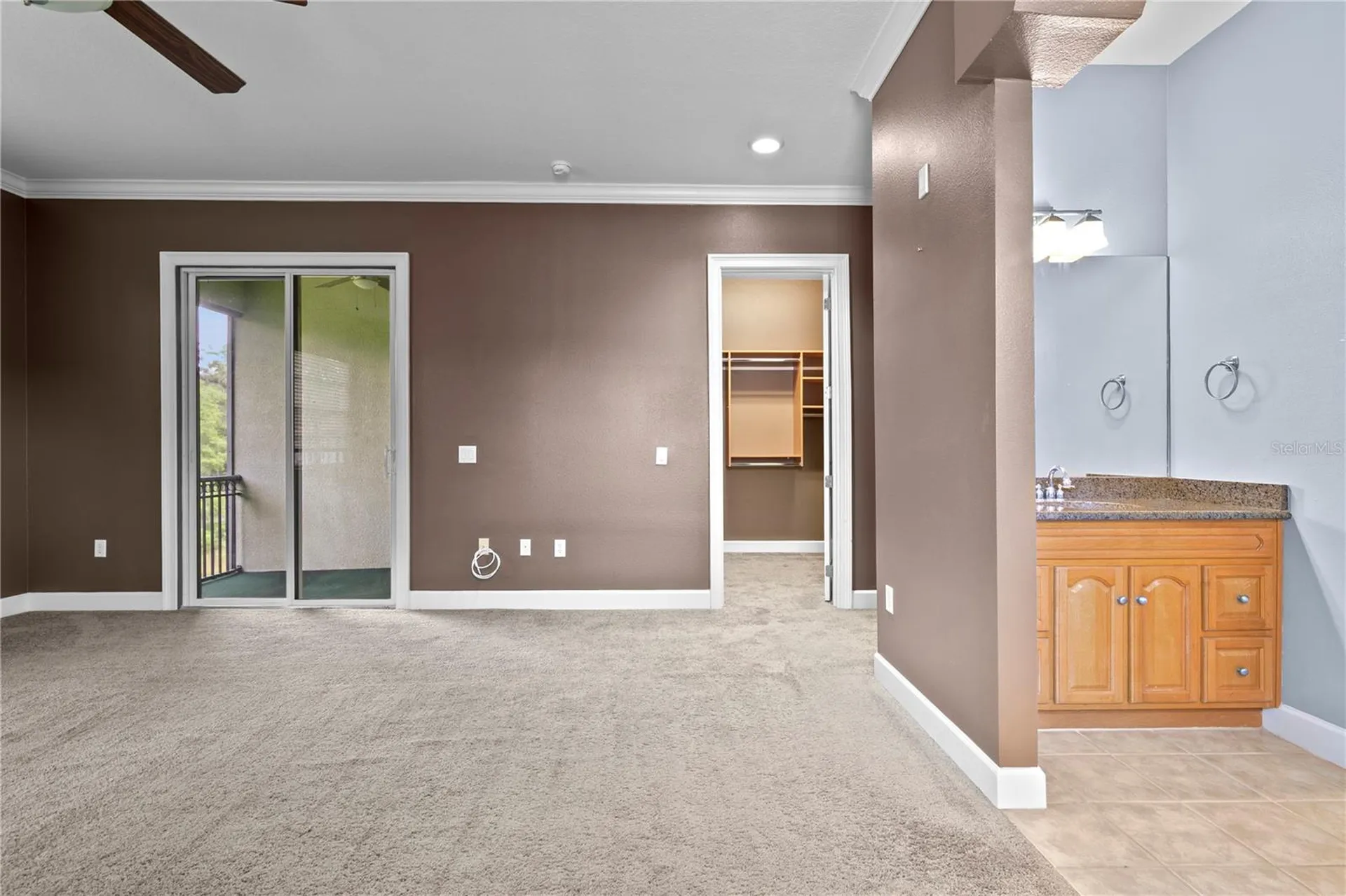 11504 Bellamar Street Tampa FL 33637