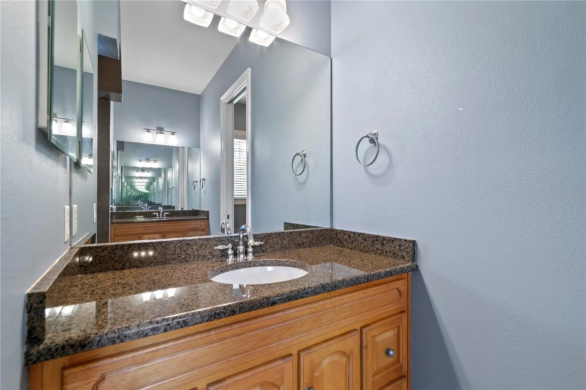 11504 Bellamar Street Tampa FL 33637