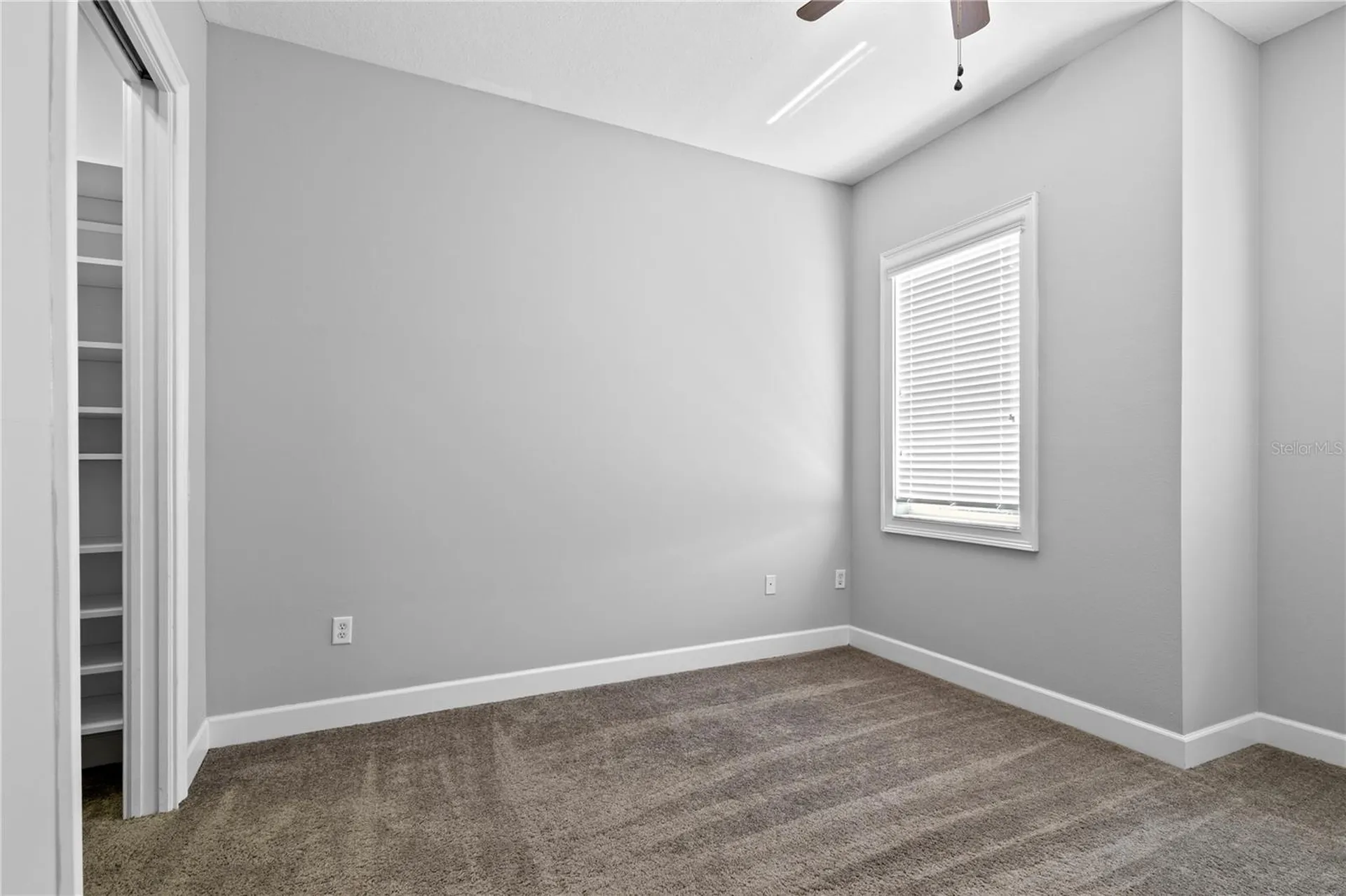 11504 Bellamar Street Tampa FL 33637