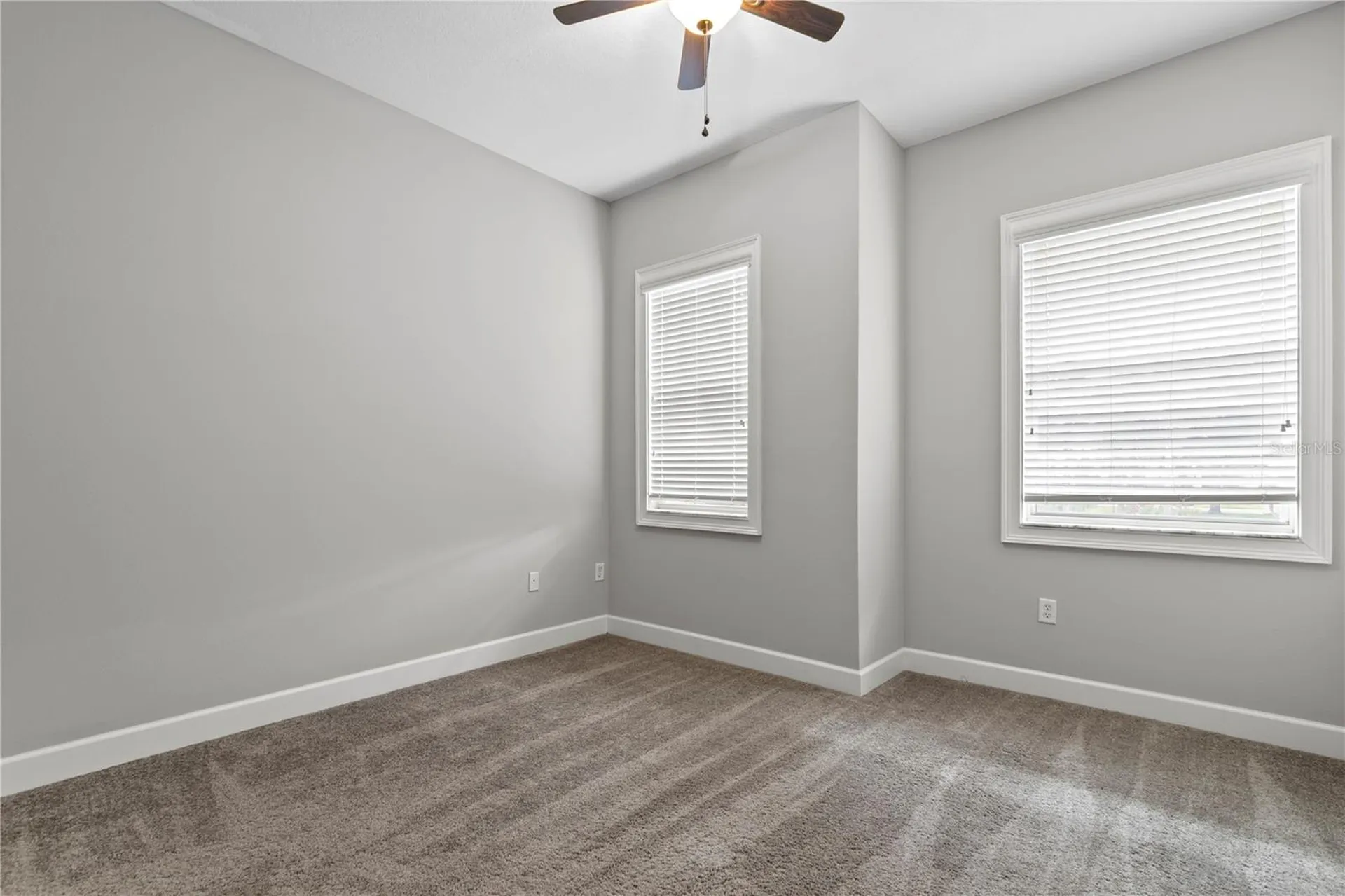 11504 Bellamar Street Tampa FL 33637