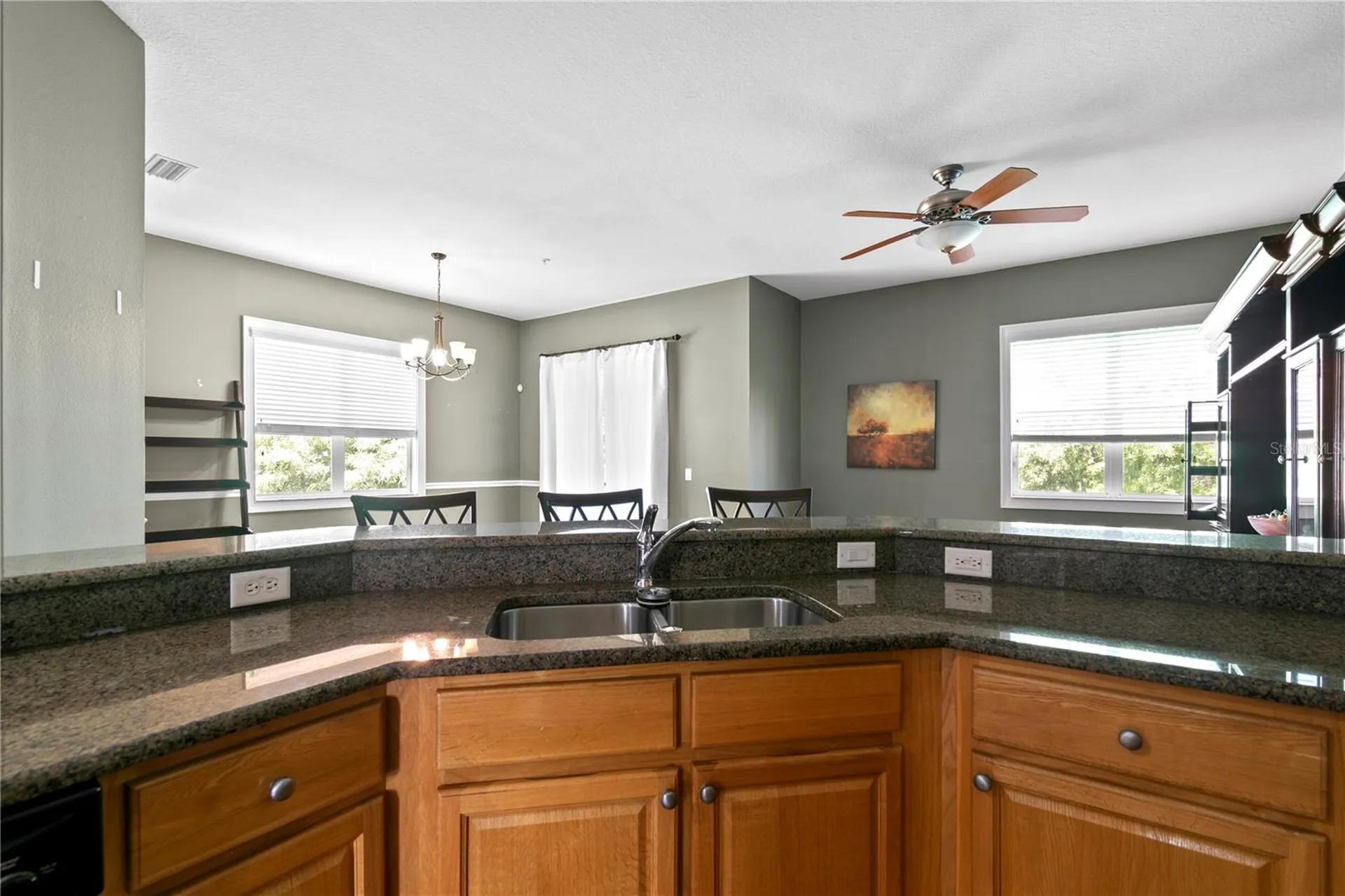11504 Bellamar Street Tampa FL 33637