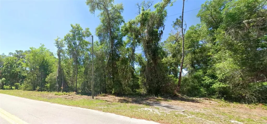 4362 E Mate Lane Hernando FL 34442