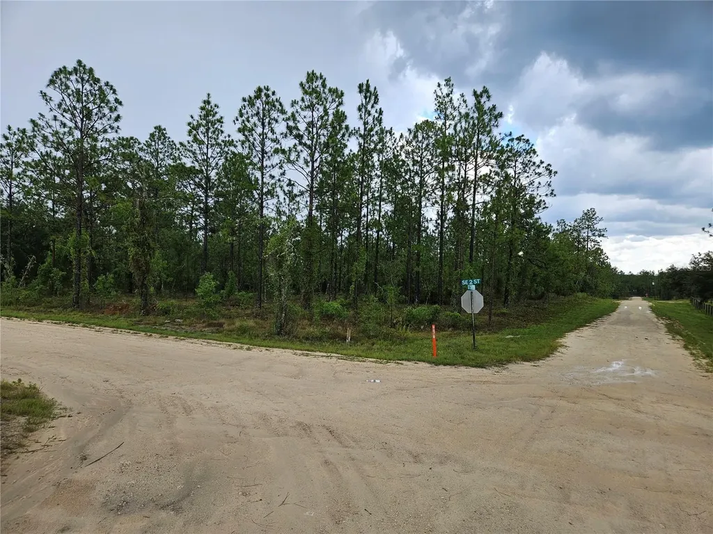 231 SE 146th Terrace Williston FL 32696