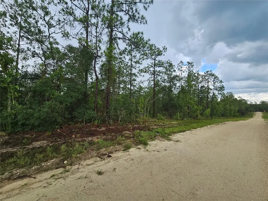 231 SE 146th Terrace Williston FL 32696