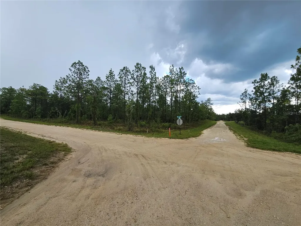 231 SE 146th Terrace Williston FL 32696