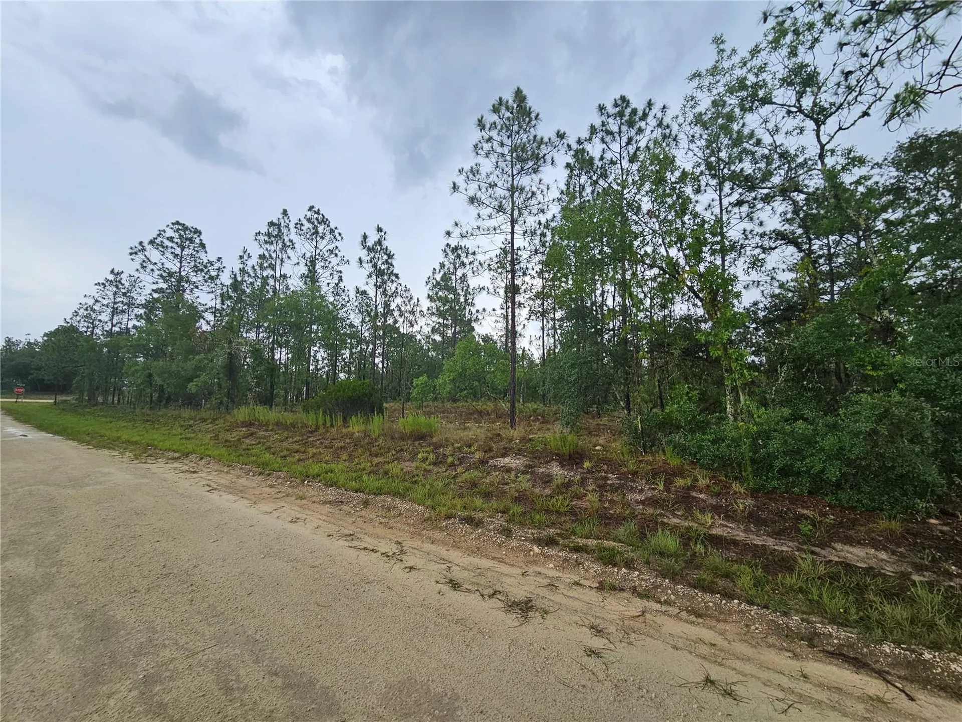 231 SE 146th Terrace Williston FL 32696