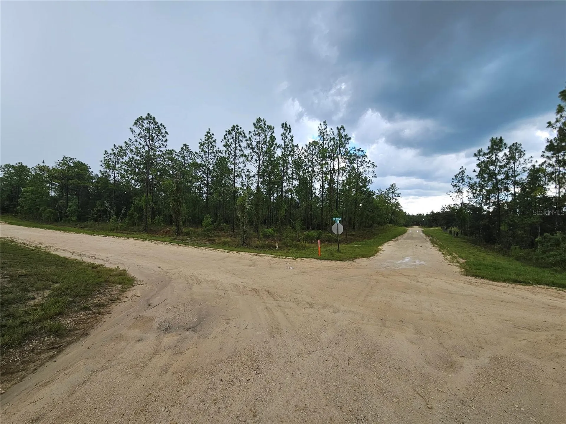 231 SE 146th Terrace Williston FL 32696