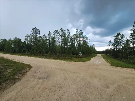 231 SE 146th Terrace Williston FL 32696