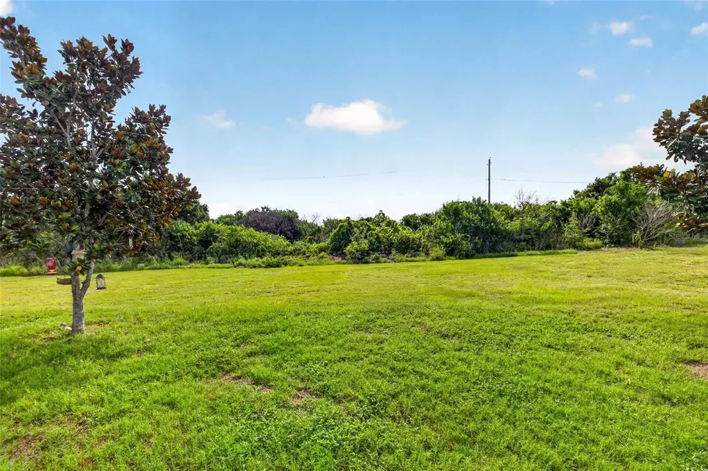 11514 Leland Groves Drive Riverview FL 33579