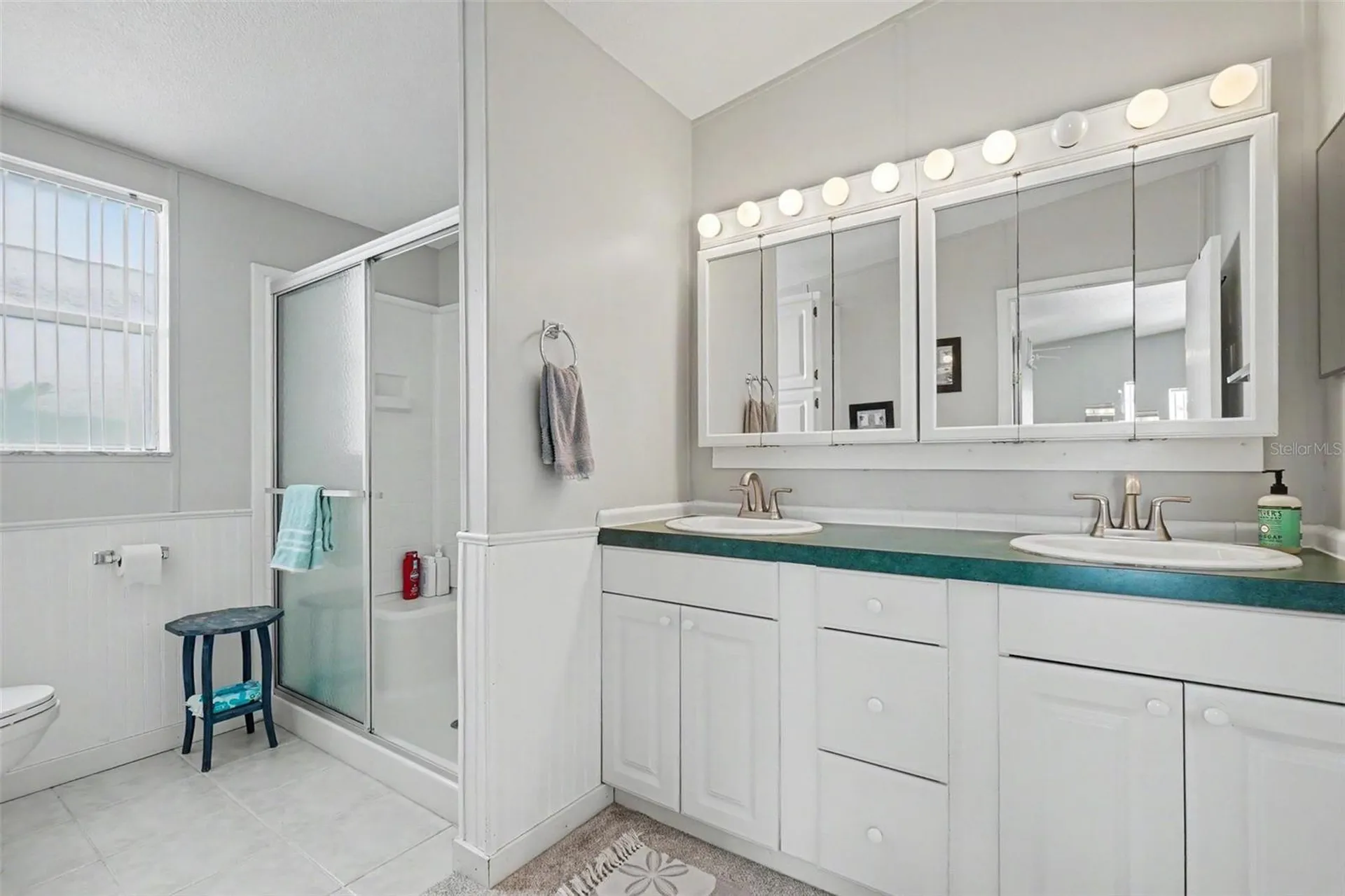 226 Bimini Drive Palmetto FL 34221