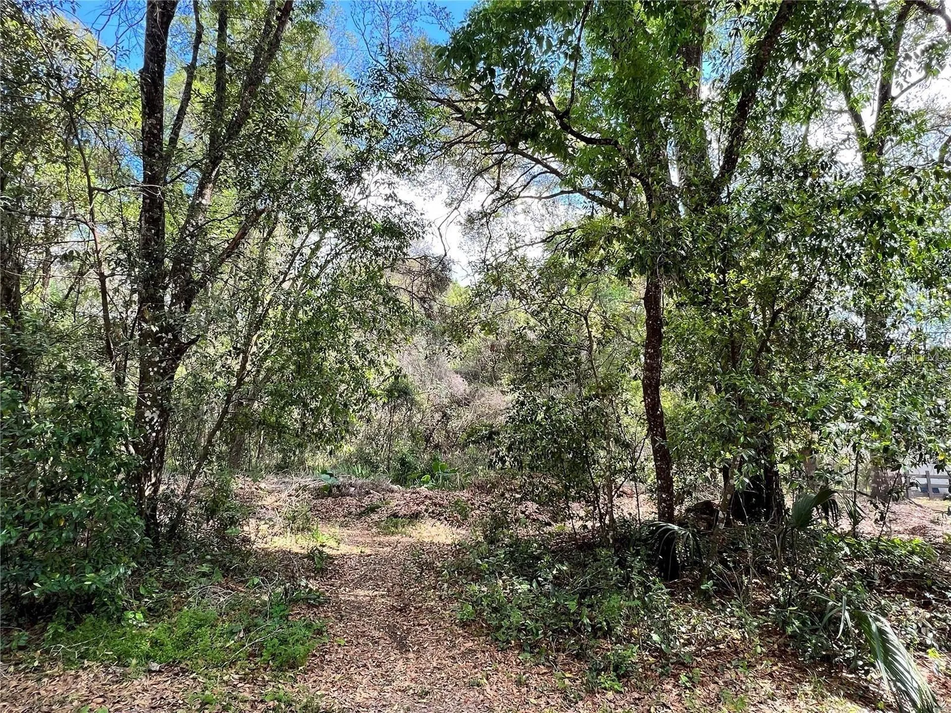 Garfield Avenue Brooksville FL 34604