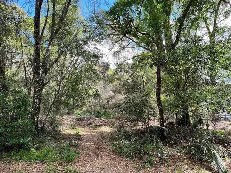Garfield Avenue Brooksville FL 34604