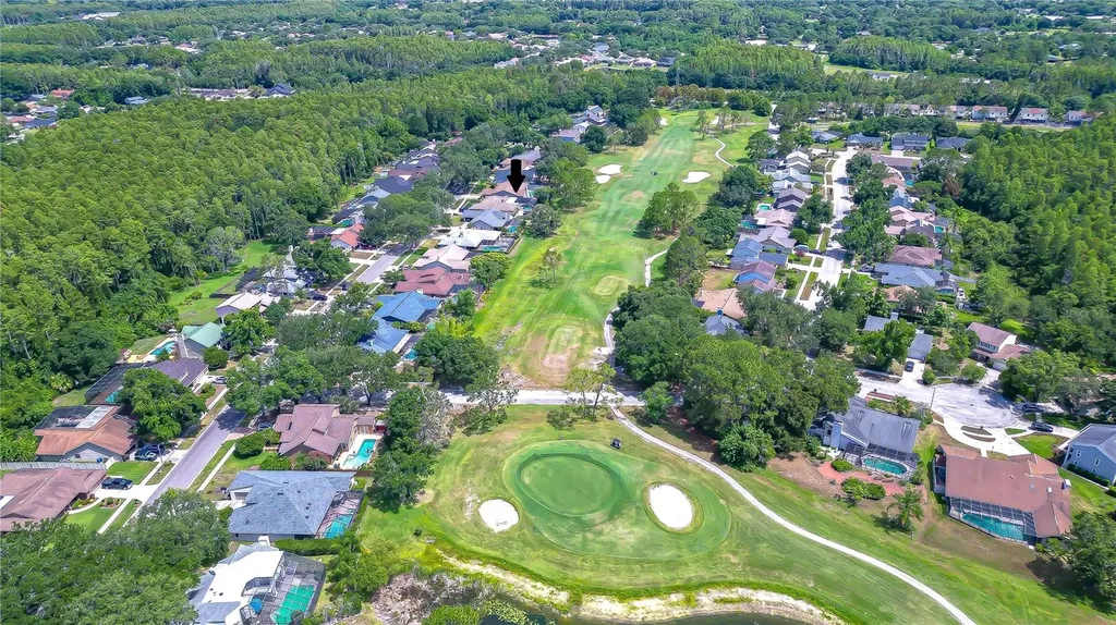 16605 E Course Drive Tampa FL 33624