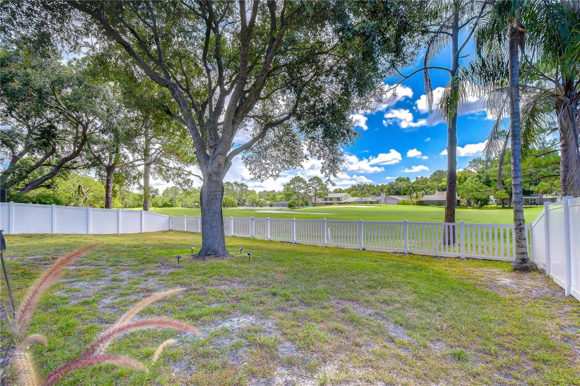 16605 E Course Drive Tampa FL 33624