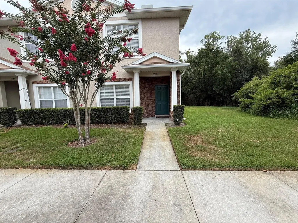 30316 Elderwood Drive Wesley Chapel FL 33543