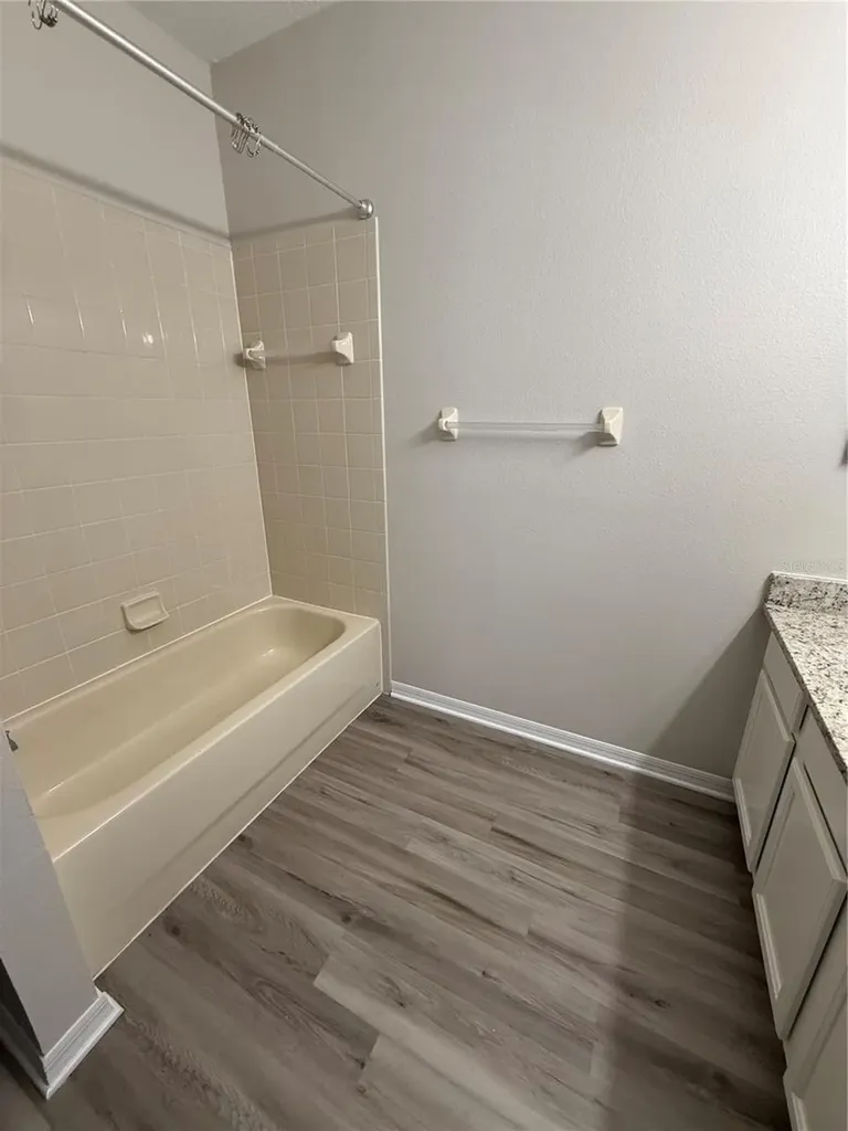 30316 Elderwood Drive Wesley Chapel FL 33543