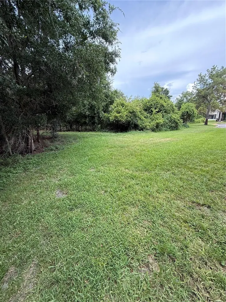 30316 Elderwood Drive Wesley Chapel FL 33543