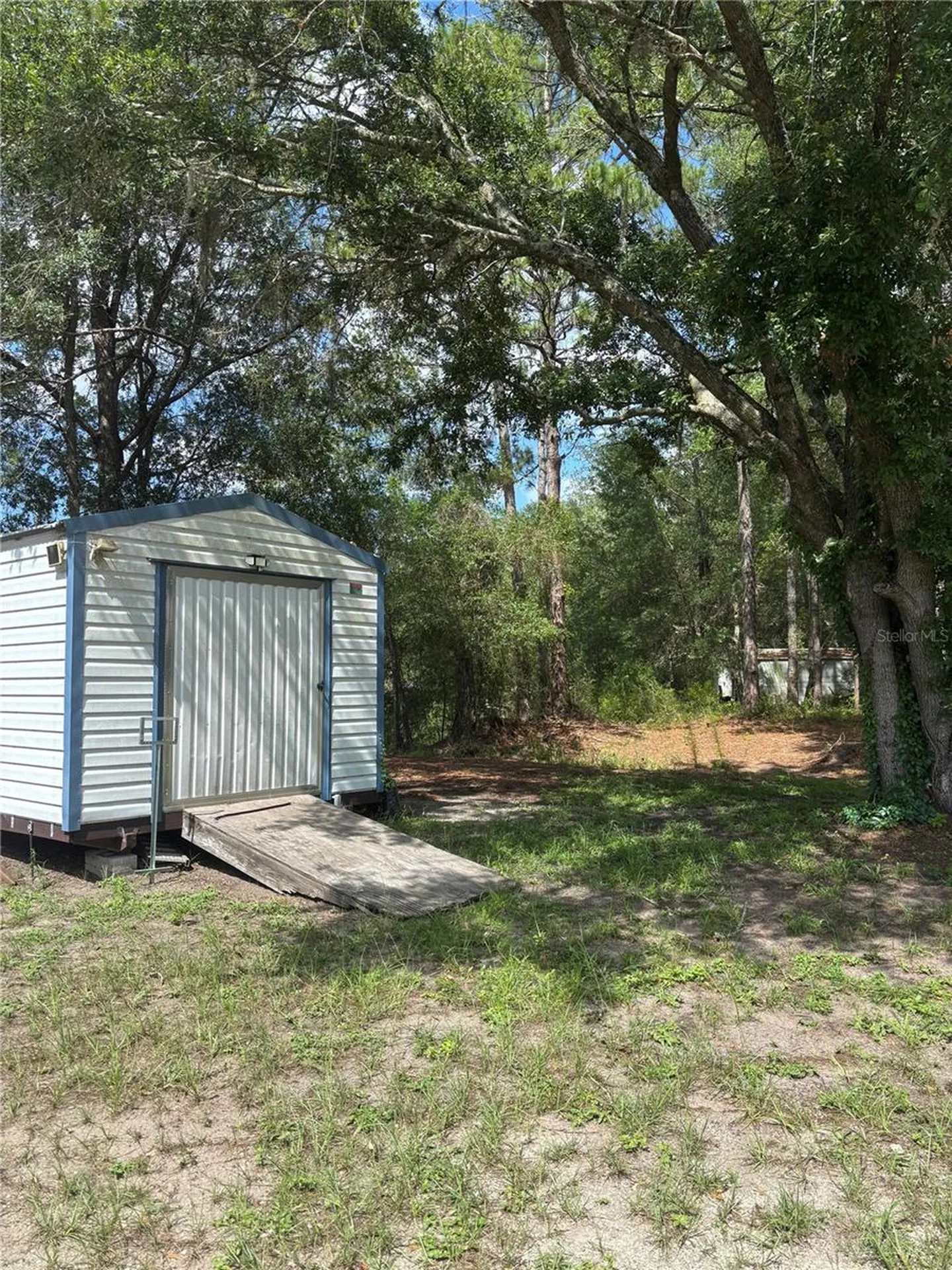 8890 SE 66th Circle Trenton FL 32693