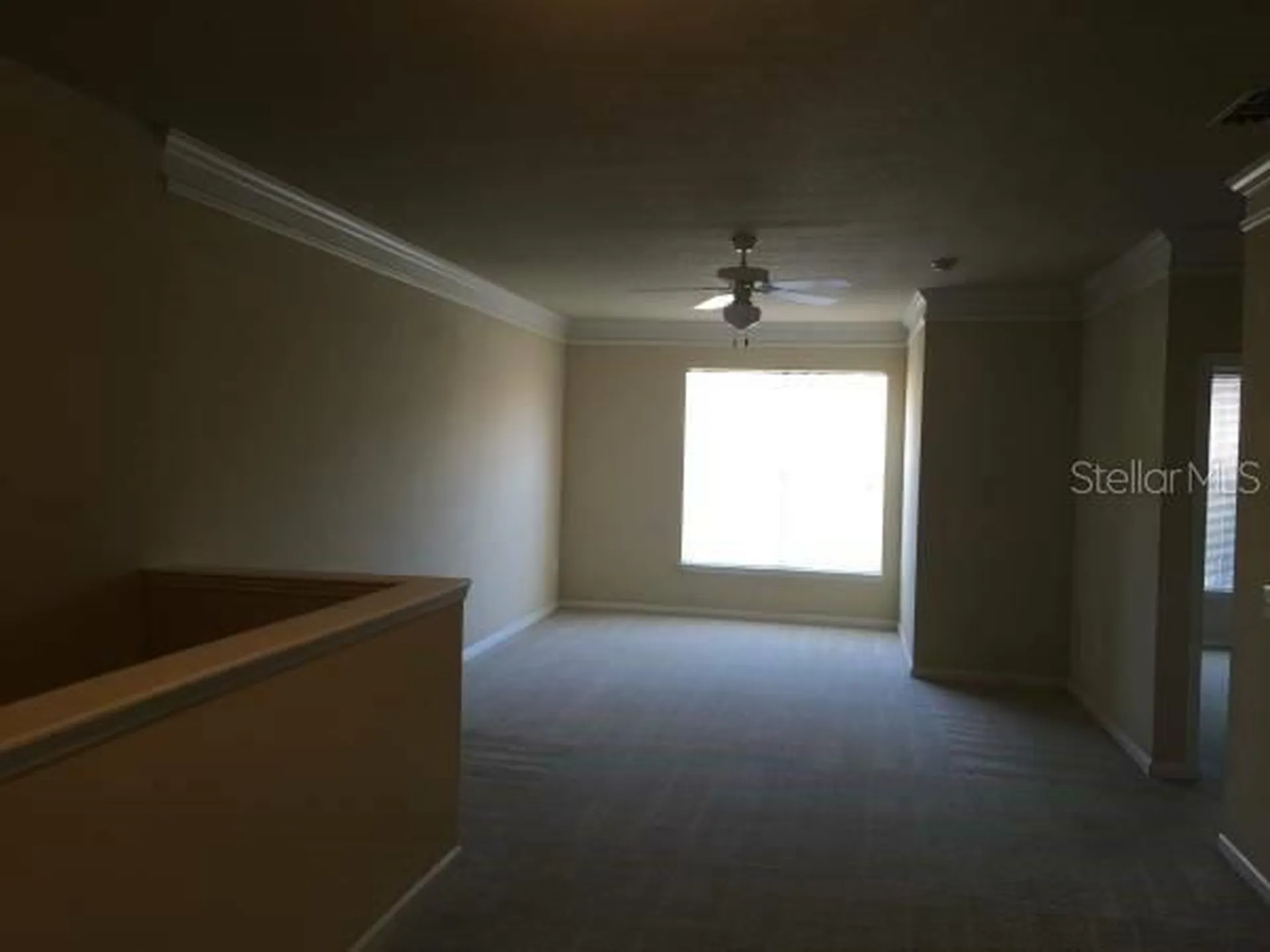 19914 Villa Creek Drive Orlando FL 32821