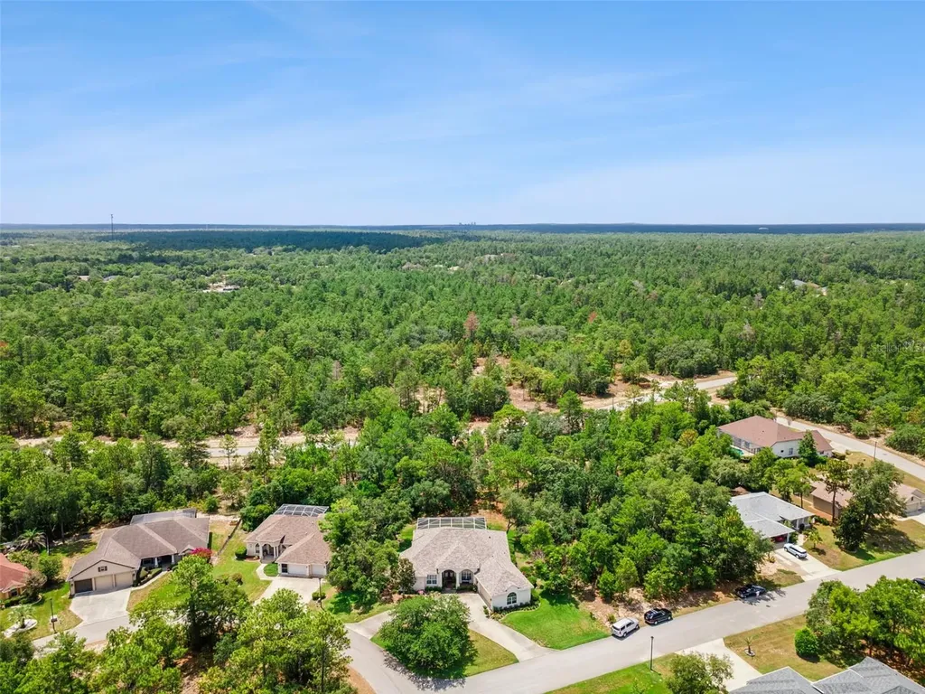 8 Cosmos Court E Homosassa FL 34446