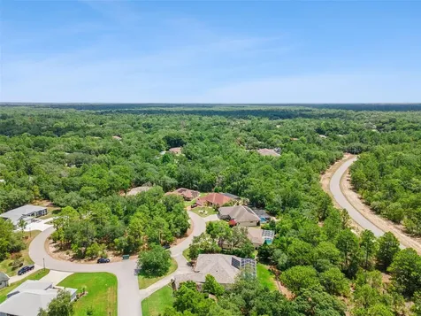8 Cosmos Court E Homosassa FL 34446