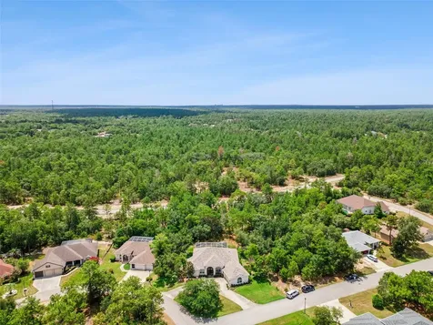 8 Cosmos Court E Homosassa FL 34446