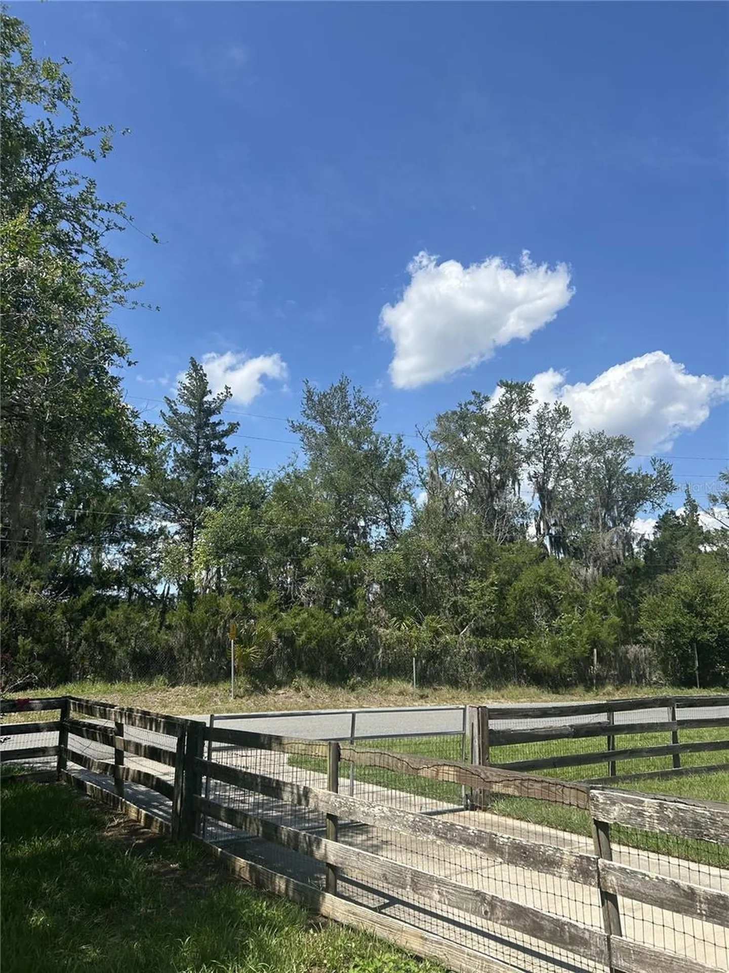 317 NE 4th Avenue Williston FL 32696