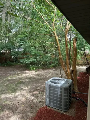 317 NE 4th Avenue Williston FL 32696