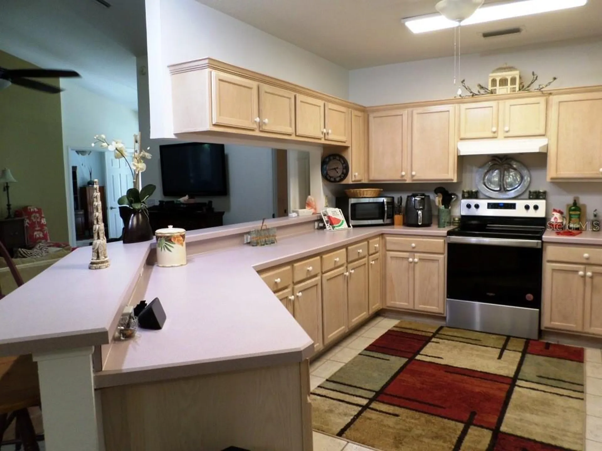 9093 SW 192nd Court Road Dunnellon FL 34432