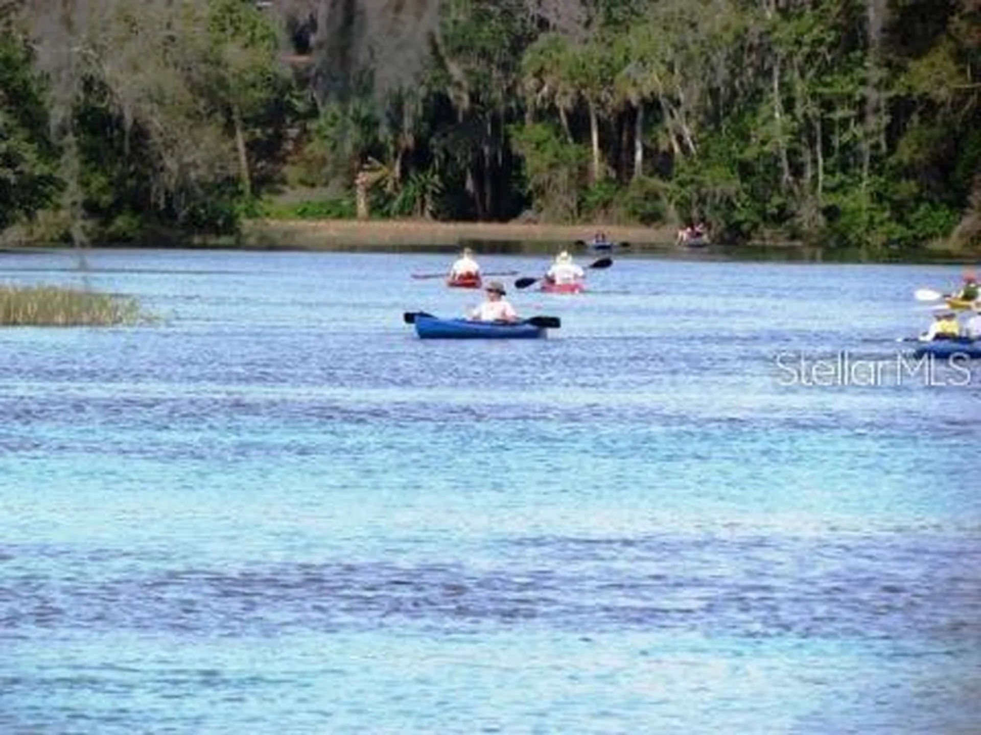 9093 SW 192nd Court Road Dunnellon FL 34432