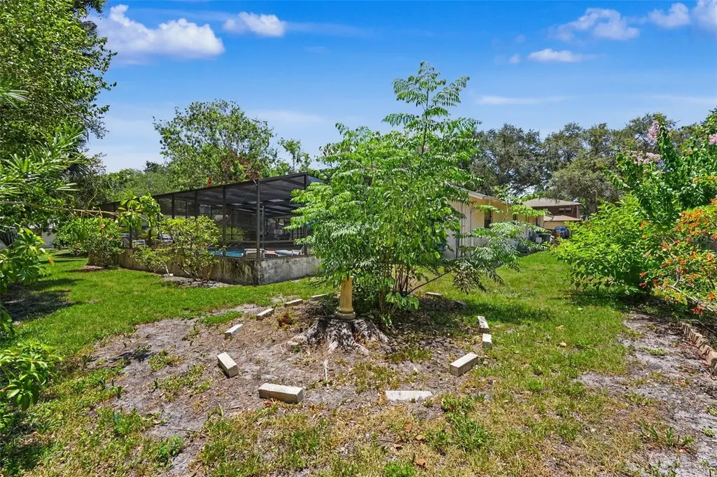 165 Woodcutter Lane Palm Harbor FL 34683