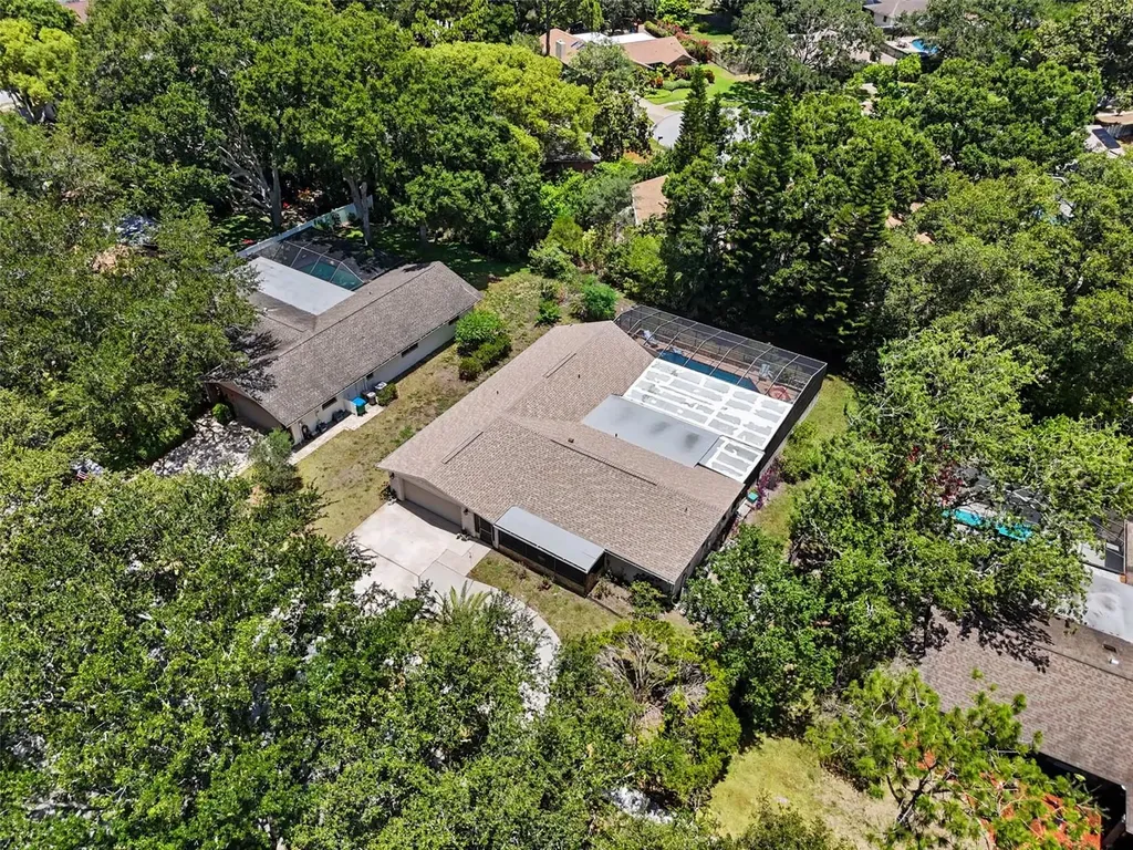 165 Woodcutter Lane Palm Harbor FL 34683