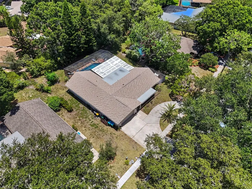 165 Woodcutter Lane Palm Harbor FL 34683