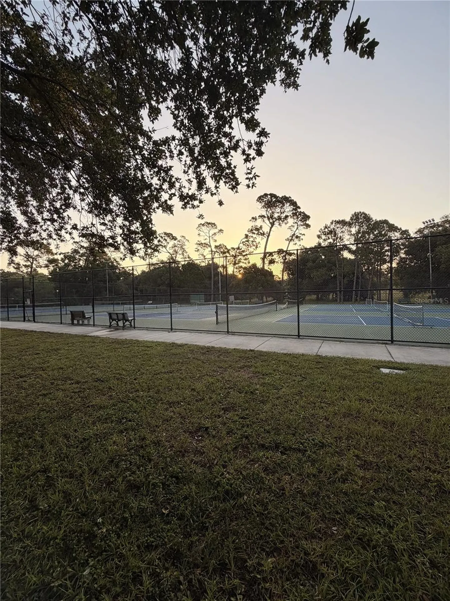 165 Woodcutter Lane Palm Harbor FL 34683