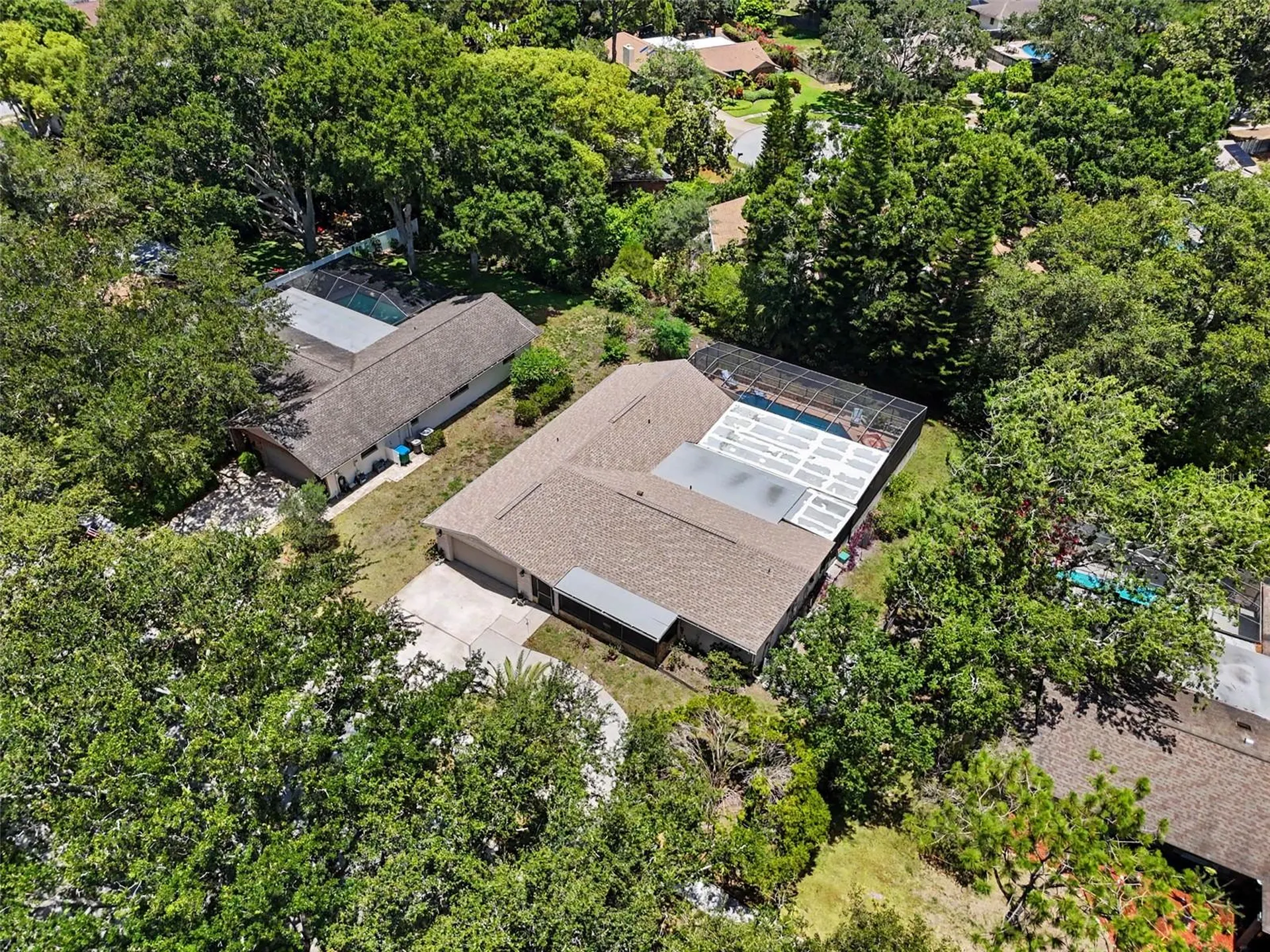 165 Woodcutter Lane Palm Harbor FL 34683