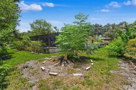 165 Woodcutter Lane Palm Harbor FL 34683