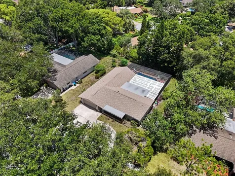 165 Woodcutter Lane Palm Harbor FL 34683