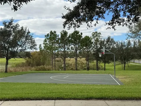 14741 Snowy Egret Street Winter Garden FL 34787