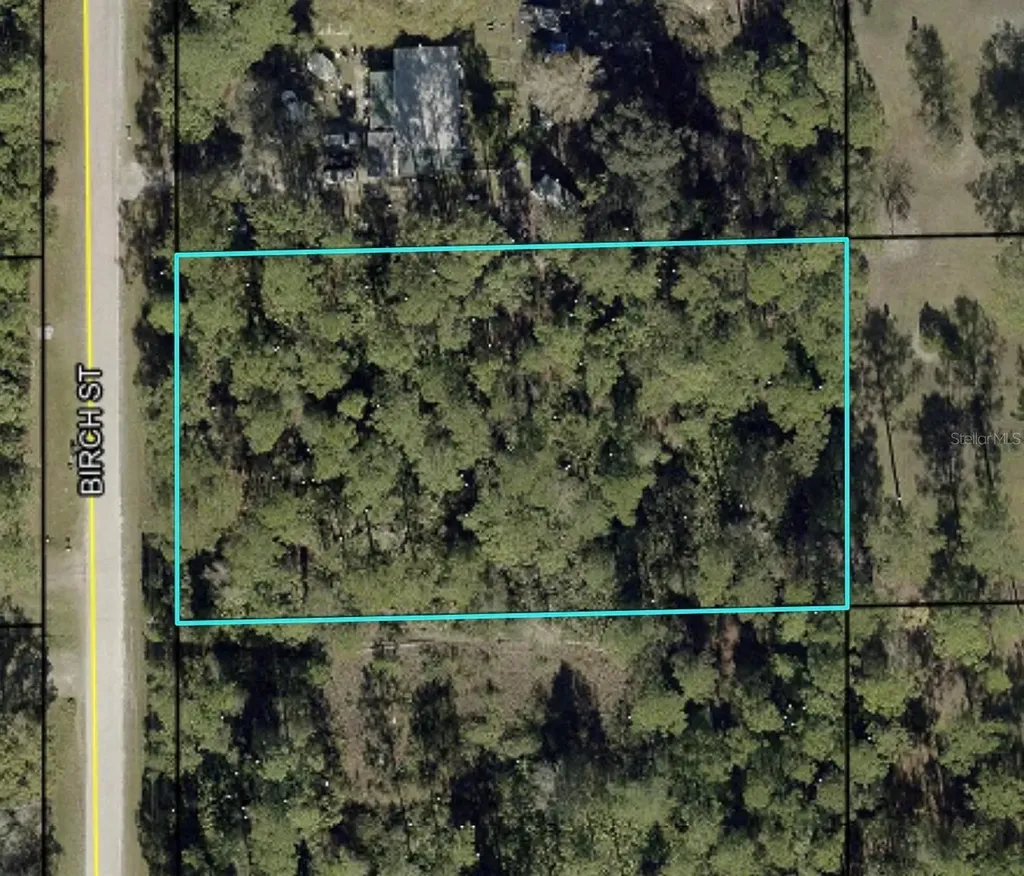 1115 Birch Street Bunnell FL 32110