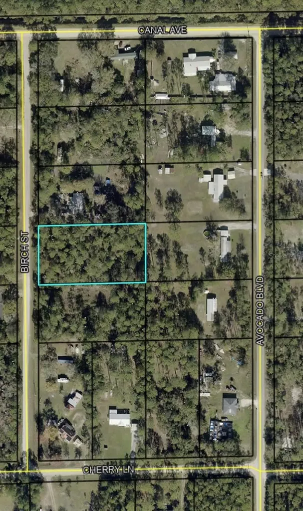1115 Birch Street Bunnell FL 32110