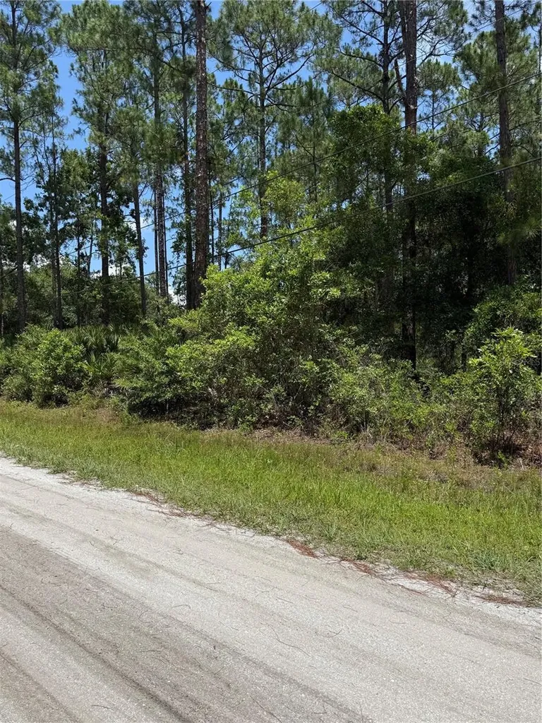 1115 Birch Street Bunnell FL 32110