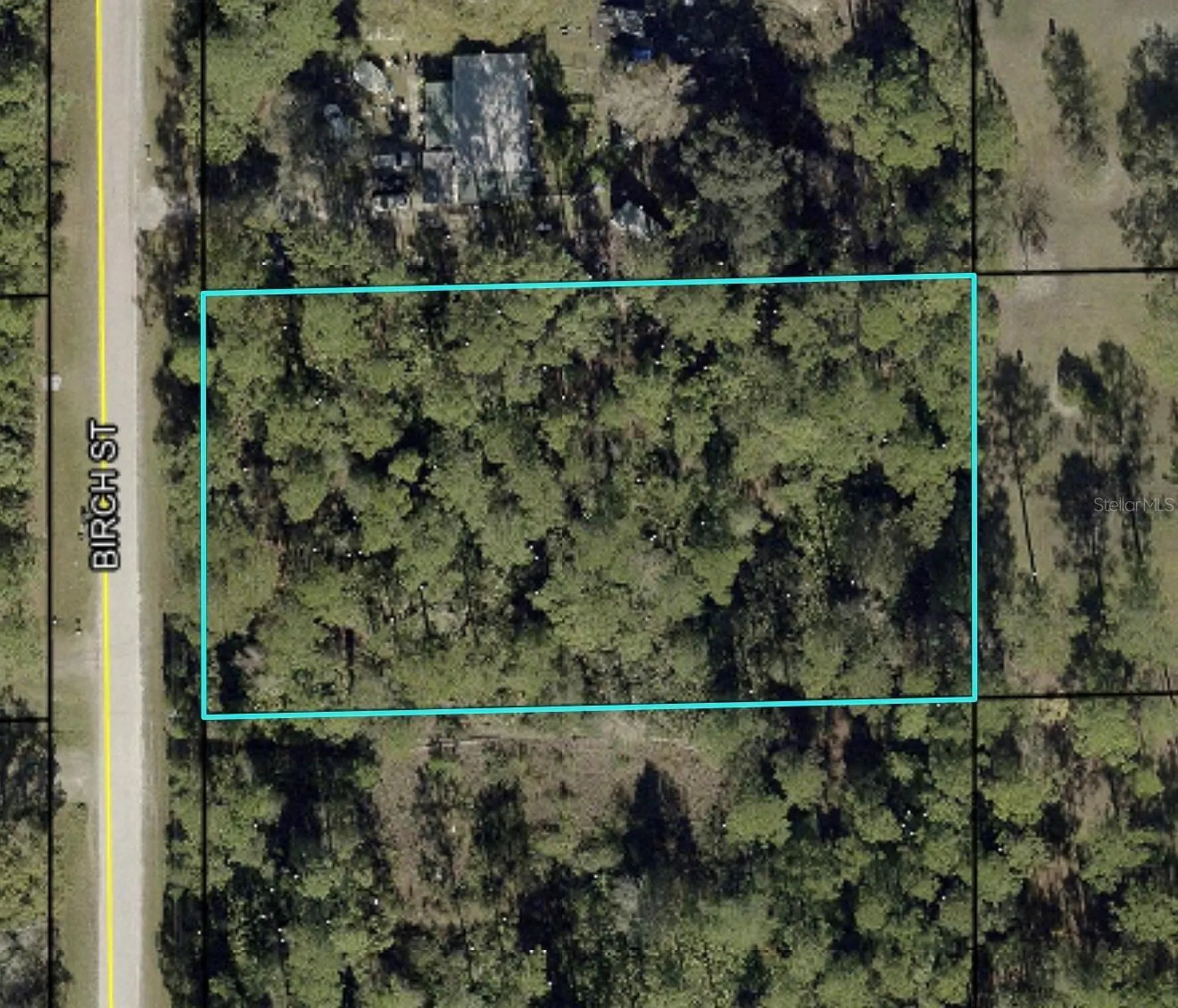 1115 Birch Street Bunnell FL 32110